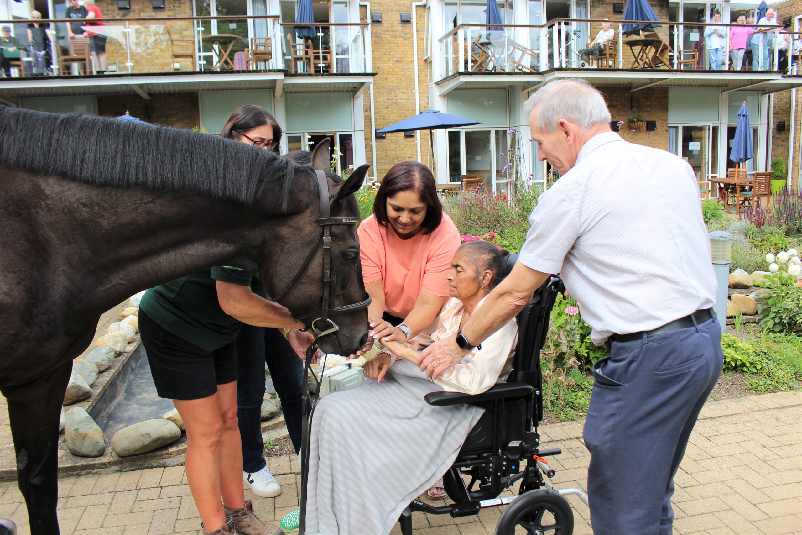 The healing power of horses